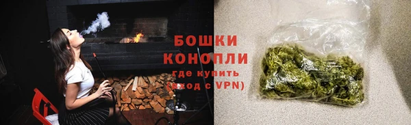 PSILOCYBIN Богданович