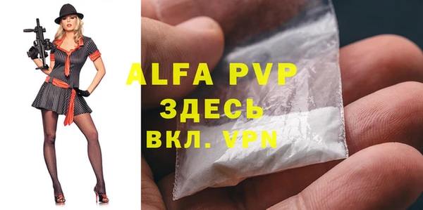 PSILOCYBIN Богданович