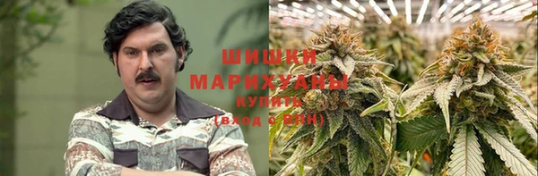 PSILOCYBIN Богданович