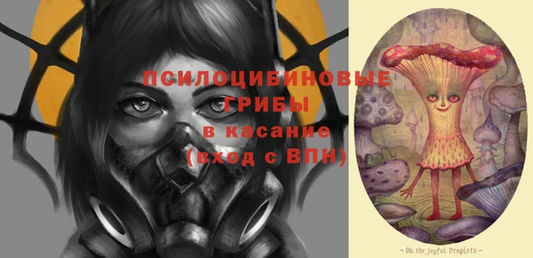 бутират Богородицк